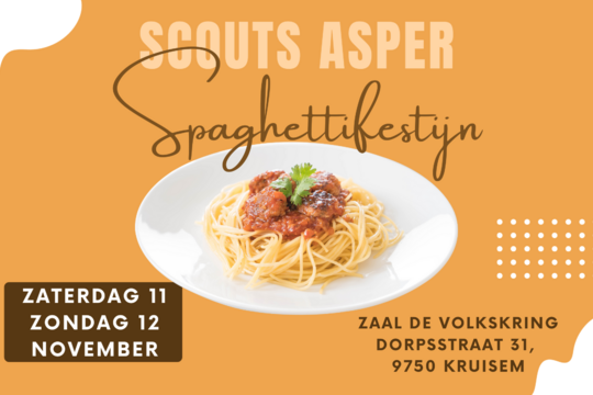 Spaghettifestijn_site.png